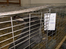 DSCN0253