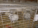 DSCN0254