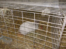 DSCN0255