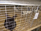 DSCN0256