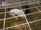 DSCN0274