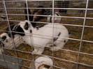 DSCN0275