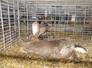 DSCN0278