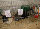 DSCN0279