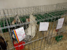 DSCN0280