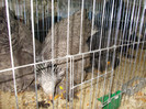 DSCN0282