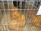 DSCN0288