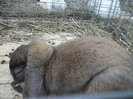 Picture 024