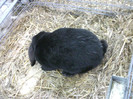 Picture 025