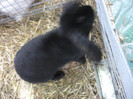 Picture 026