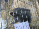 Picture 030