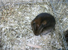 Picture 034