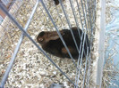 Picture 035