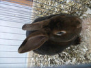 Picture 036