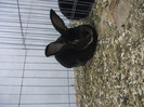 Picture 037