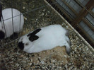 Picture 040