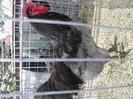 Picture 041