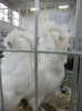 Picture 044