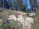 050420063041