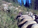 050420063042