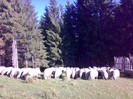 050420063090