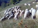 050420063106