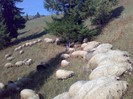 070420063359