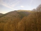 raluka (7)