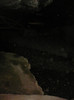 P1350457