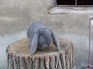 SDC12309