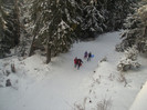 DSCI0653