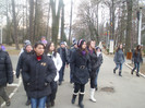 DSCI0733