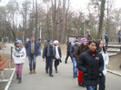 DSCI0734