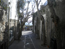 CAPRI 16.12 (107)