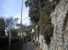 CAPRI 16.12 (119)