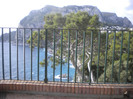 CAPRI 16.12 (135)