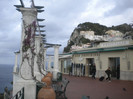 CAPRI 16.12 (141)