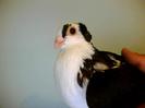 Picture 004