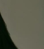 adriana89