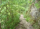 DSC03084