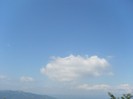 SL372879