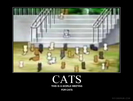 Cats