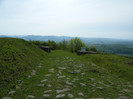 DSCF2955