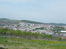DSCF2965