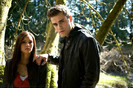 TVD (17)