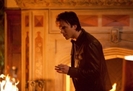 TVD (21)