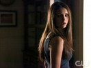 TVD (24)