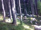 280120062561