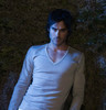 TVD (7)
