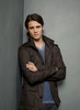 TVD (33)